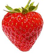 Strawberry444 (cropped).jpg