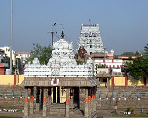 Tiruvallikeni1