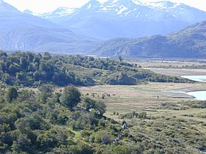 Valle de Yendegaia