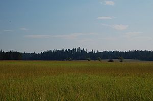 Weippe-prairie-idaho-august-2010-roger-peterson (5622599819)