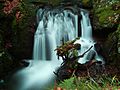 2012-11-16 15-34-20-cascade-savoureuse