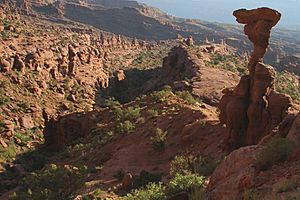 A282, Toadstool, Fisher Towers, Utah, USA, 2008