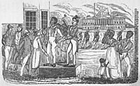 A Slave Auction