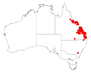 Acacia fasciculiferaDistMap350.png