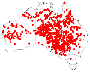 Acacia victoriaeDistMap945.png