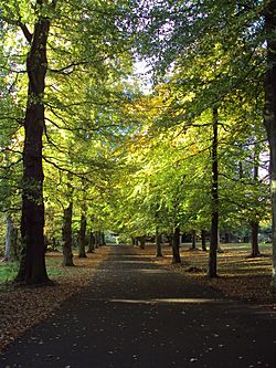 Arrowe Park - DSC04040.JPG