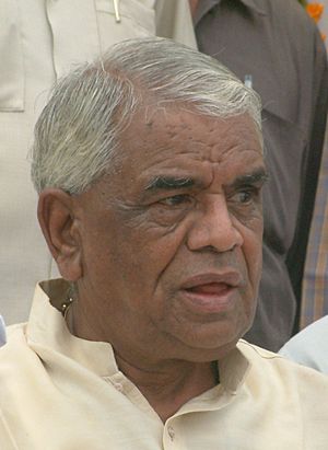 Babulal Gaur (cropped).jpg