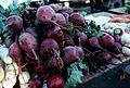 CSIRO ScienceImage 2779 Radishes