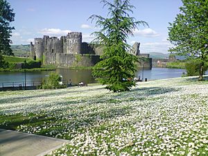 Caerphilly Castle Wales