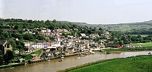 Calstock from train.jpg