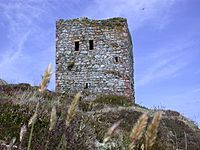 Castle on Ailsa Craig