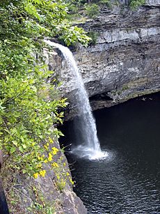 Desoto Falls (AL)