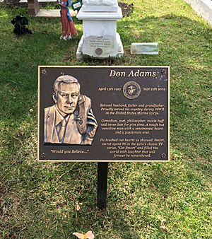 Don Adams Grave