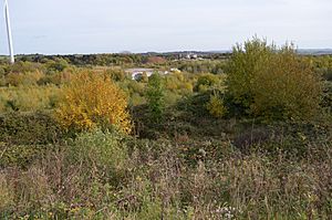 Double Arches Pit.JPG