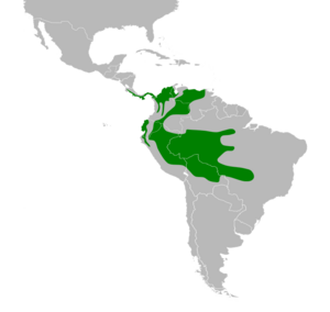 Euphonia laniirostris map.svg