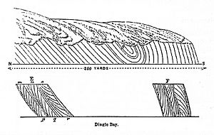 Figure2 PatrickGanly 1856