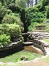 A small pond surrounded by greenery