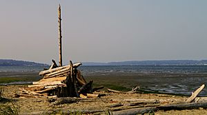 Jetty Island Beach