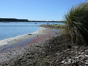 Lake Horowhenua 13