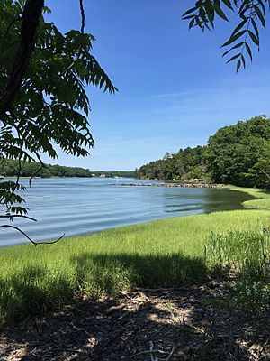 Larrabees Landing