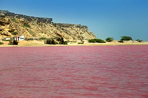 Lipar Pink Wetland, Chabahar, Iran