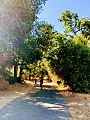 Los Alamitos Creek Trail Biking