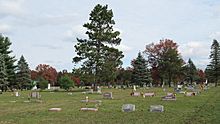 Luzerne Cemetery (Michigan)