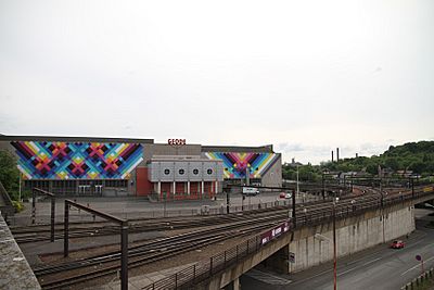 Maya Hayuk charleroi-asphalte-biennale