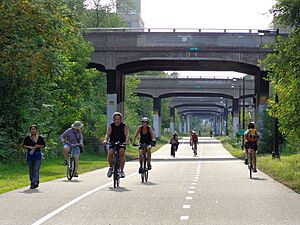 Minneapolis Midtown Greenway