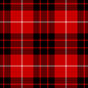 Munro tartan (Vestiarium Scoticum).png