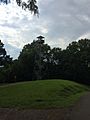 Observation tower at Grand Gulf