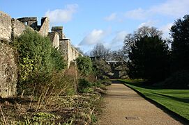 Oxford - New College