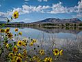 Pahranagat-lake-nevada 20609220973 o