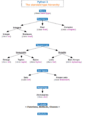 Python 3. The standard type hierarchy