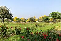 Rose Garden Chandigarh