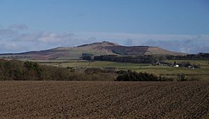 Rubers Law from Hawick