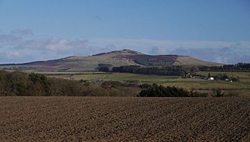 Rubers Law from Hawick.jpg