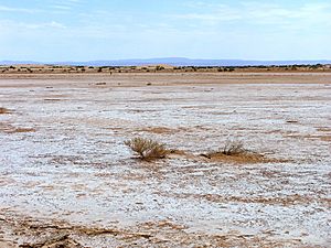 Salt flats of Lake Frome