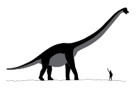 Sauroposeidon dinosaur.svg