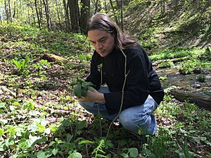 Sean Sherman of the Company The Sioux Chef foraging Wild Ramps