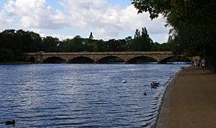 Serpentine Bridge