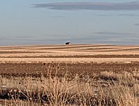 A field in Slater