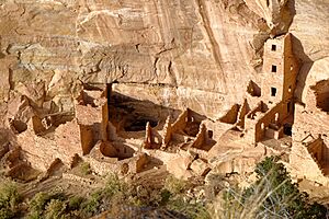 Square Tower House, Mesa Verde Park, Colorado, US (12)