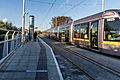 Tram at Ranelagh