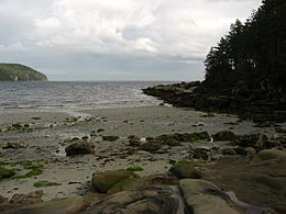 Tribune Bay, Hornby Is.JPG