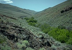 Trout Creek in southeastern Oregon