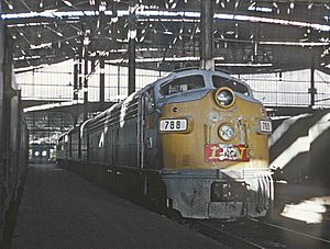 Under the St. Louis Train Shed - 2 Photos (26538805383)