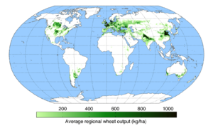 WheatYield