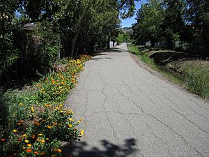 Ygnacio Canal Trail - Walnut Creek, California