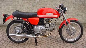 Aermacchi Turismo Veloce 1971 crop